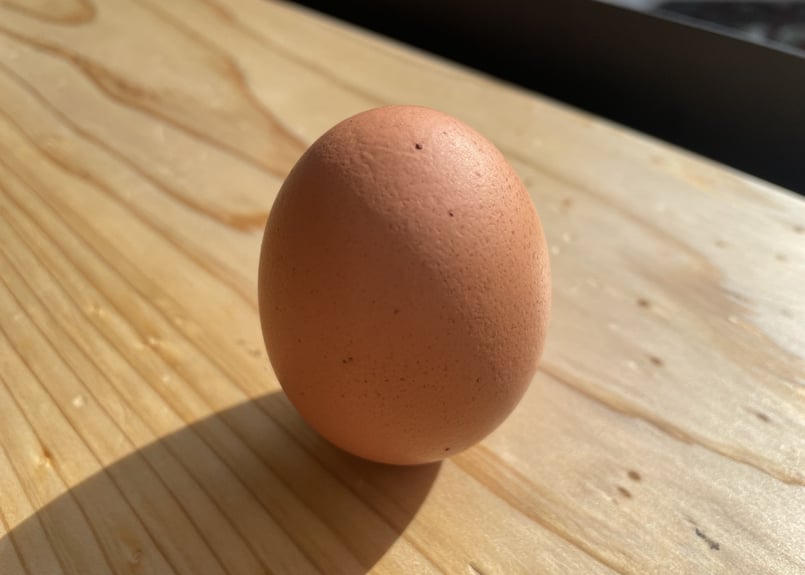 やまんたまご【24個入り】【40個入り】※クール便発送 | もろつかストア