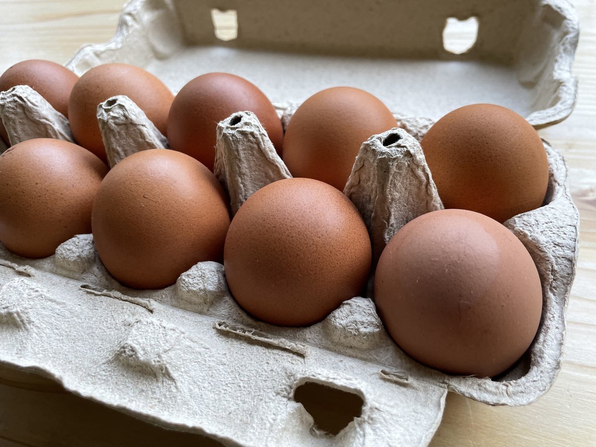 やまんたまご【24個入り】【40個入り】※クール便発送 | もろつかストア