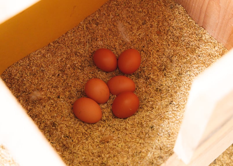 たまこ Have fun finding out what you get! We opened six toy eggs and