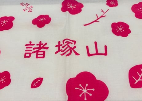 諸塚山オリジナル手ぬぐい