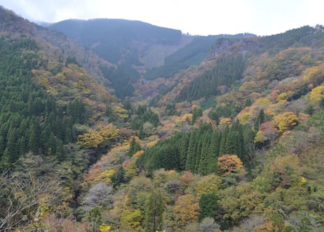 くぬぎ地蔵ストラップ　山開きver
