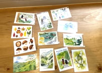 金丸さんの諸塚絵葉書
