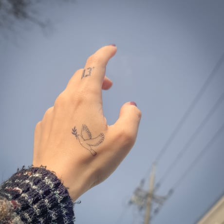 Karisome｜03’【F-35】
