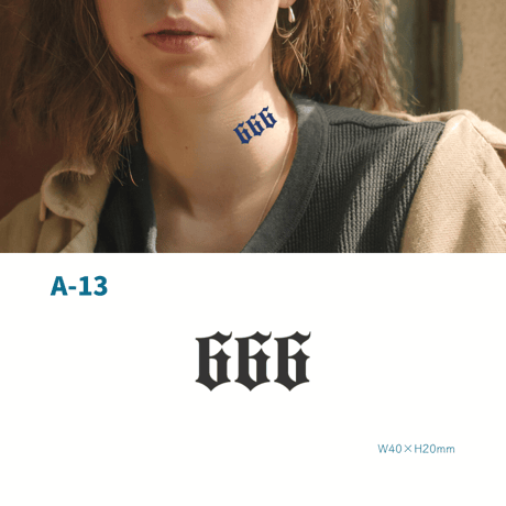 Karisome｜666【A-13】