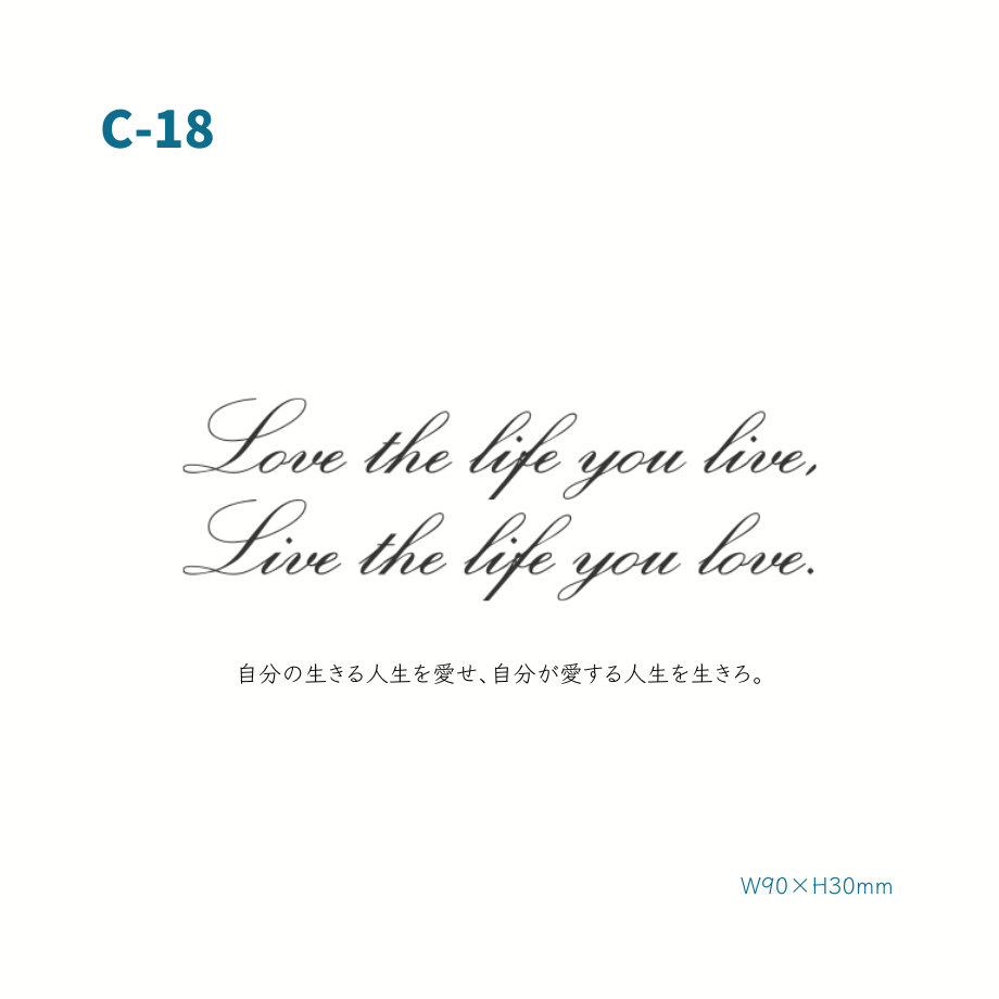 62a8002dbe28d04c552f10a6