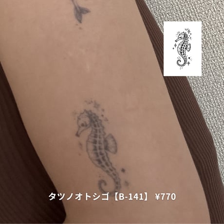 Karisome｜タツノオトシゴ【B-141】