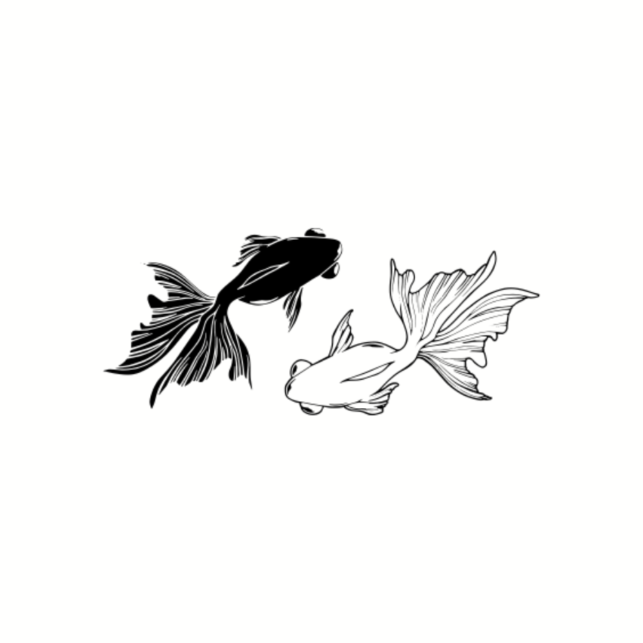 63fc7e401c1518024d1b4c30