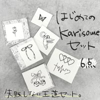 はじめてのKarisomeセット｜6点