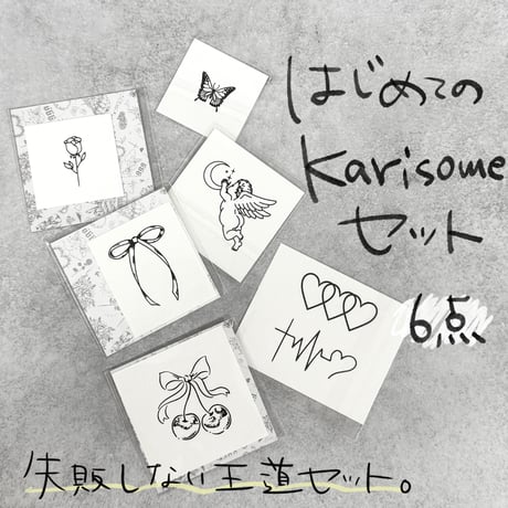 はじめてのKarisomeセット｜6点