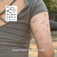 Karisome｜Sweet Chaos【D-66】