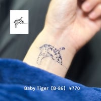 Karisome｜Baby Tiger【B-86】