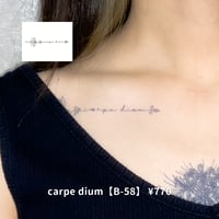 Karisome｜carpe dium【B-58】