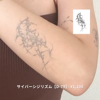 Karisome｜サイバーシジリズム【D-79】