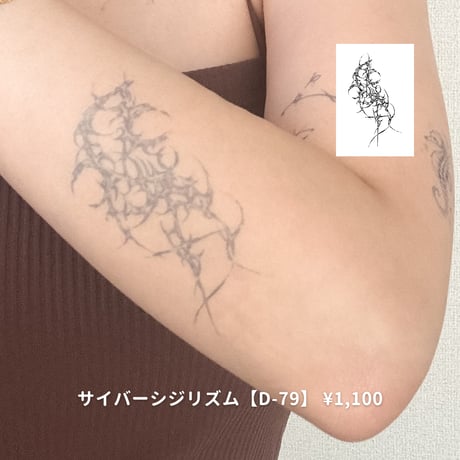 Karisome｜サイバーシジリズム【D-79】