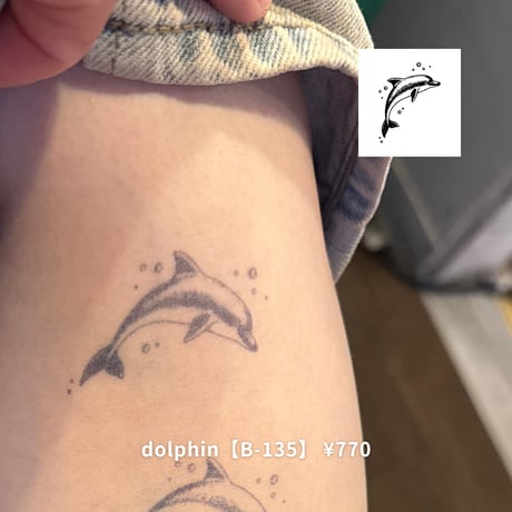 Karisome｜dolphin【B-135】