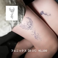 Karisome｜フェニックス【D-37】