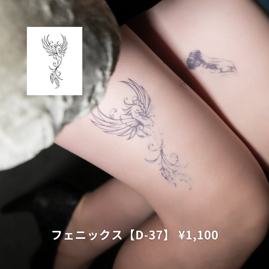 646b49644dcf6e00486ac006