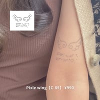 Karisome｜Pixle wing【C-85】