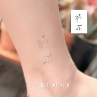 Karisome｜ふたご座【F-50】
