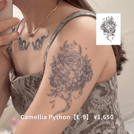 Karisome｜Camellia Python【E-9】