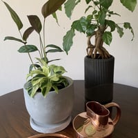 ポーリングカン　銅製　0.5ℓ