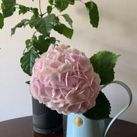 クラシックジャグ　ダックエッグブルー　1.8ℓ
