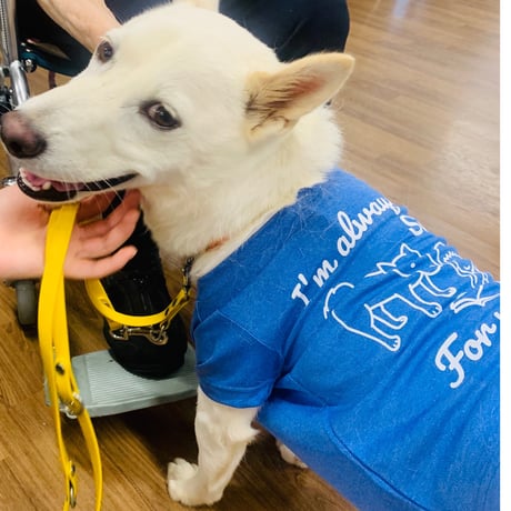 低血糖アラート犬チャリティーＴシャツ　2色