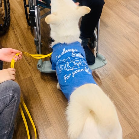 低血糖アラート犬チャリティーＴシャツ　2色