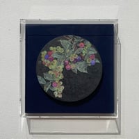 磯部絢子　「実り-blueberry-」　直径20㎝円形　日本画
