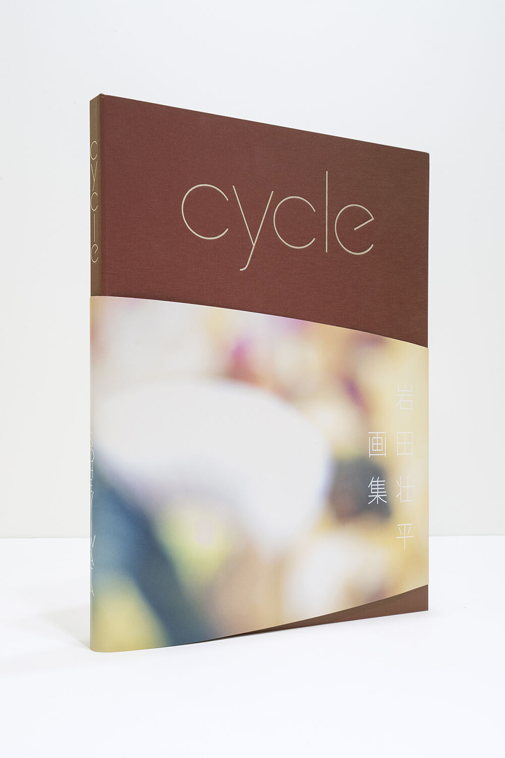 岩田壮平 画集 『cycle』 | 新生堂ギャラリー