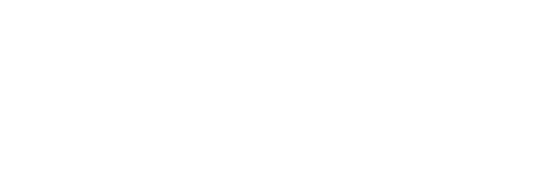 椀チーム web shop