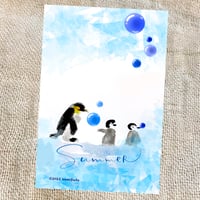 summerペンギン