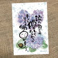 優しくなれる紫陽花