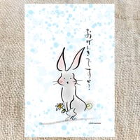 お元気ですか?ウサちゃん
