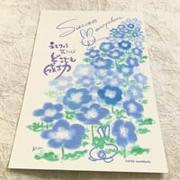 ネモフィラ花言葉
