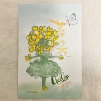 菜の花の妖精