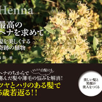 [訳ありのため20%オフ]　最高のヘナを求めて