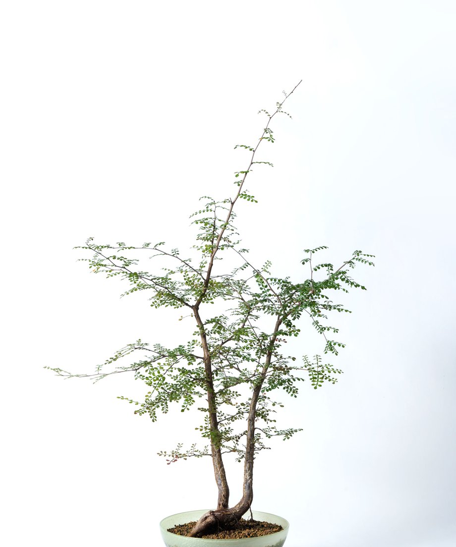 608ac495da019c58aaabea28