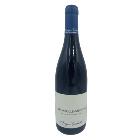 CATEGORY ブルゴーニュ | APOGEE Wine CATEGORY ブルゴーニュ | APOGEE Wine