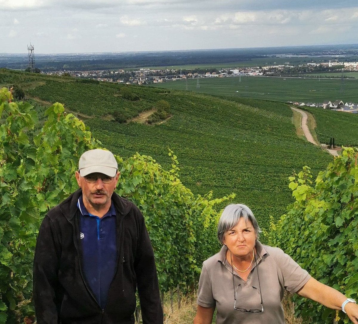 アルザス ピノ ノワール 2024 / アンドレ エルハート（ミディアム