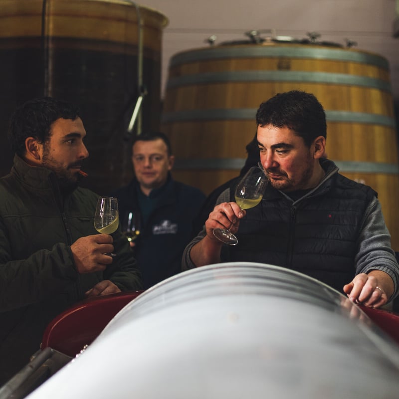 レクラ 2023/ ルネサンス フルリエ・フレール | APOGEE Wine