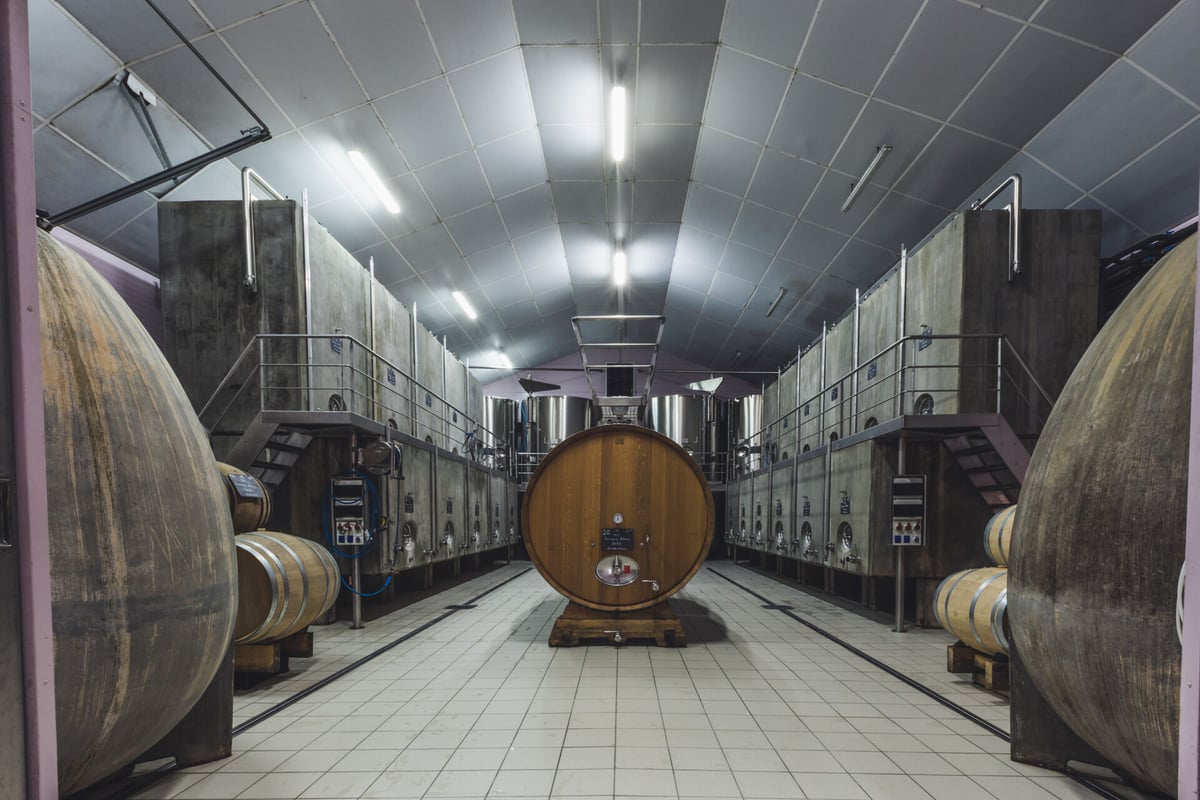 サンセール・ブラン マジー・デ・カイヨット2023 / ルネサンス