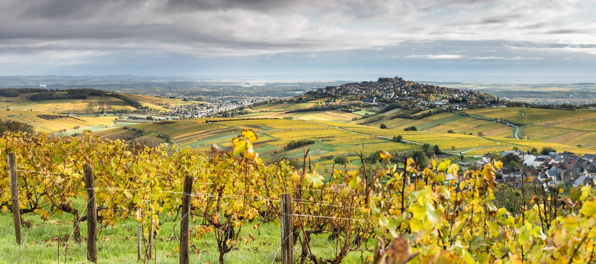 レクラ 2023/ ルネサンス フルリエ・フレール | APOGEE Wine