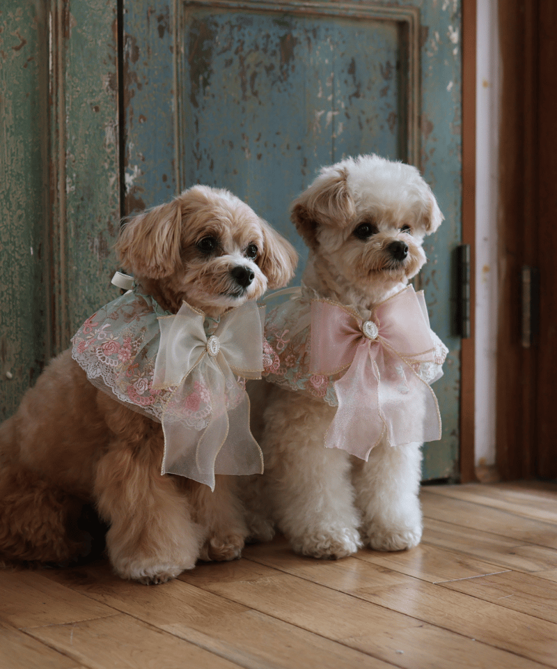 ま*い様 動作品　RODOS17JWE　ANTIMAGNETICアンティークブレ 即納】 ♥アンティークフラワー♥ ORIGINAL SR817 | RiMarvie (リマ