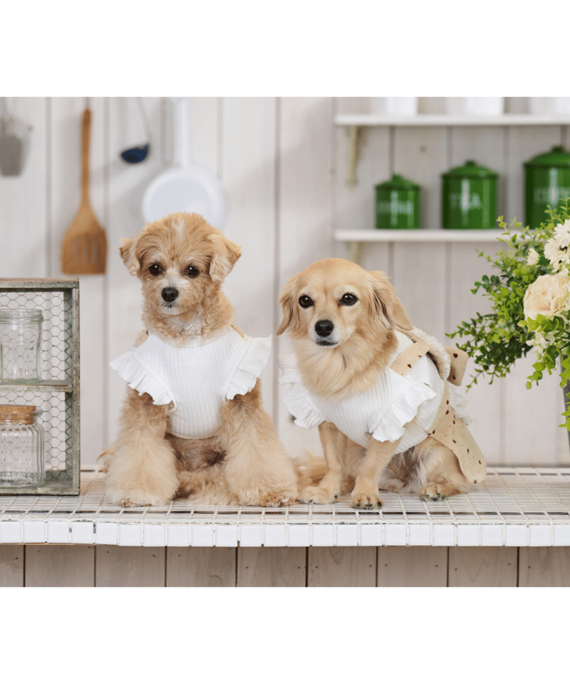 remedyyy ショートケーキワンピース remedyyy ショートケーキワンピース remedyyy ショートケーキワンピース