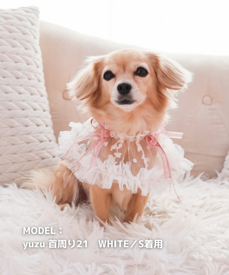 ふわふわ ダブルリボン【1438】 ふわふわ ダブルリボン【1438】