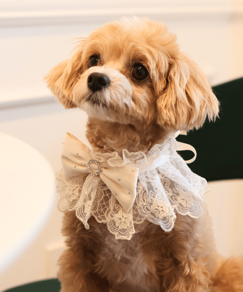 再入荷なし【即納】＊ホワイトレーススタイ＊ select R750