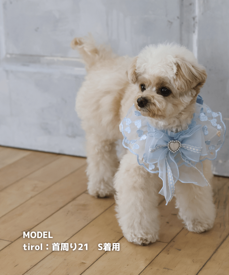 ブルーハート♡白リボン♡アクセサリーケース♡♡No.1945 うるっときらめく♡シェルモチーフスマホケース ホワイト｜リボン