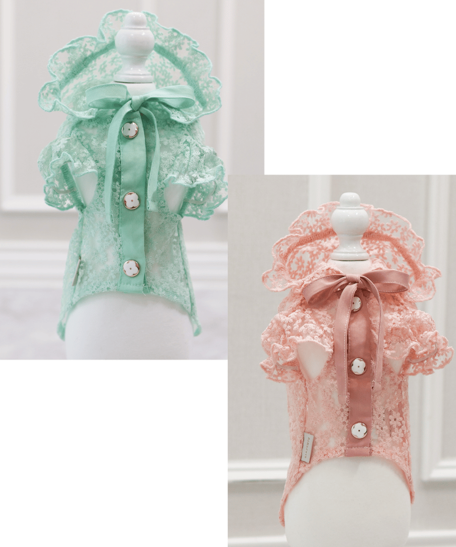 682445fb4f6263006f154dcb