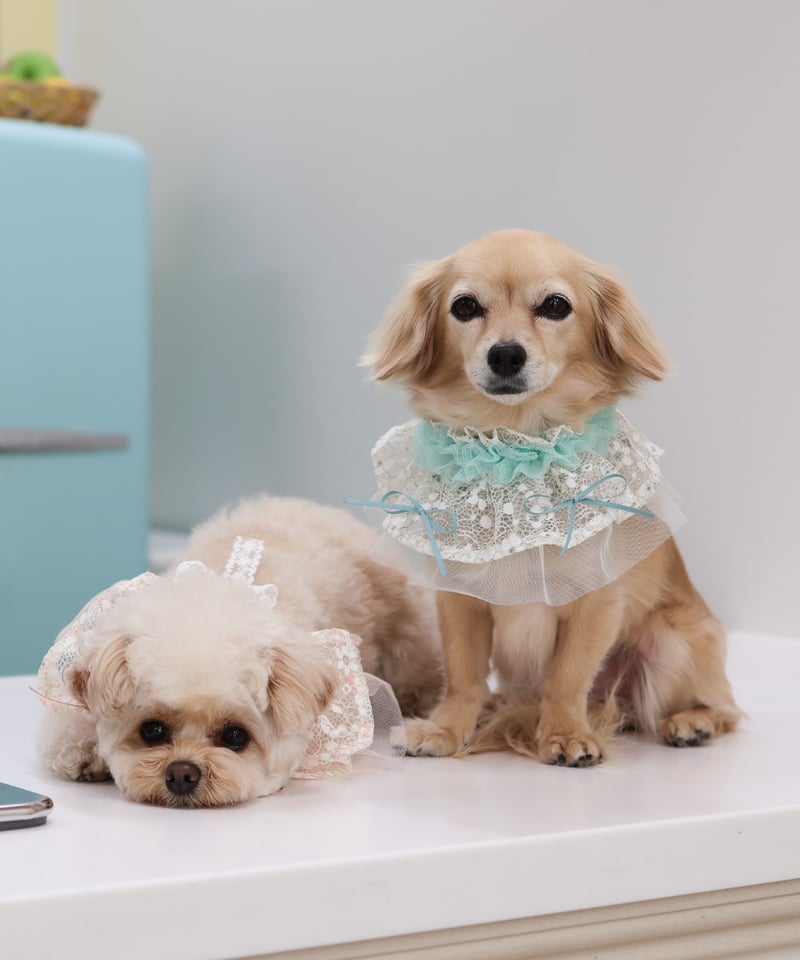 即納】♥レイヤーレーススタイ♥ ORIGINAL SR807 | RiMarvie (リマービー)